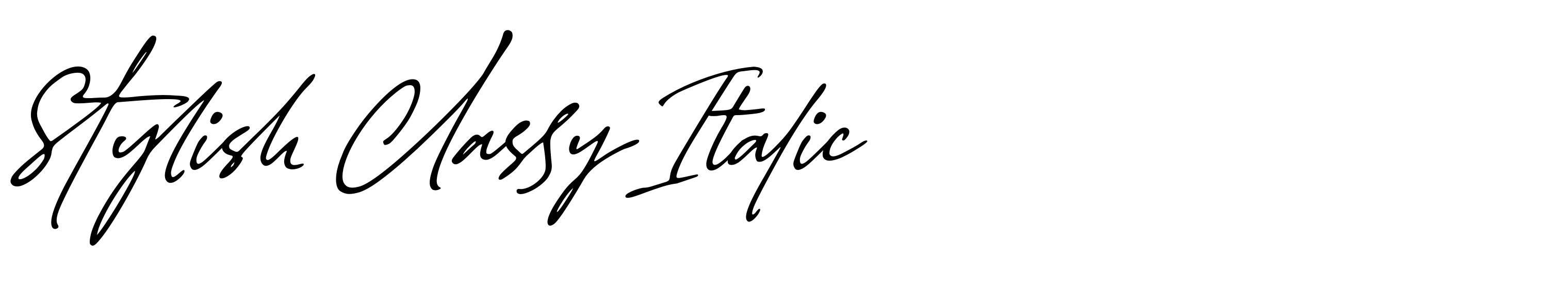 Stylish Classy Italic